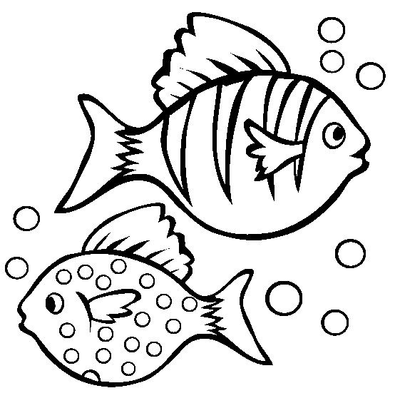 fish pictures for kids