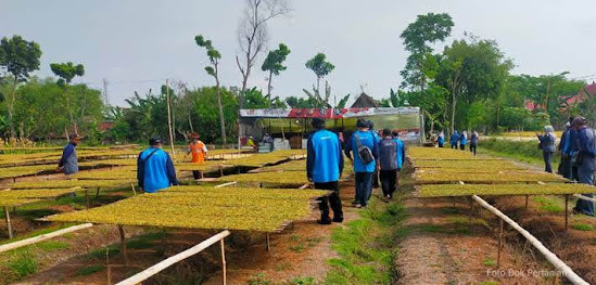 APTI Kabupaten Ngawi
