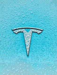 TESLA LOGO