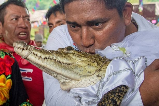 Mexican Mayor Weds 'Live' Alligator [PHOTOS]