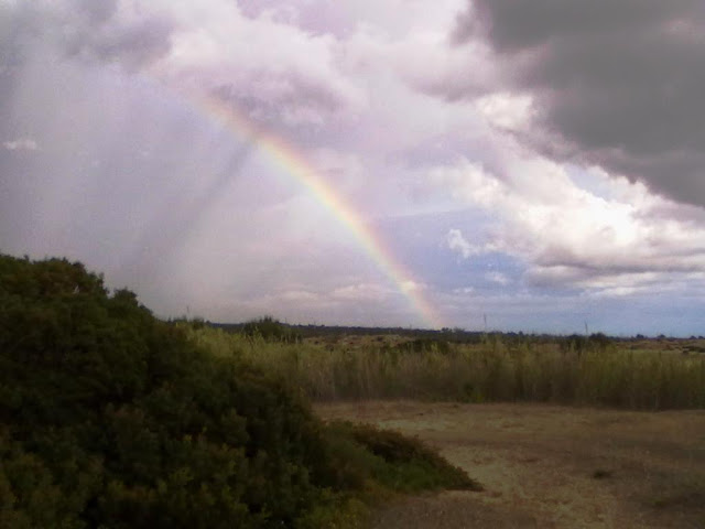 arcobaleno