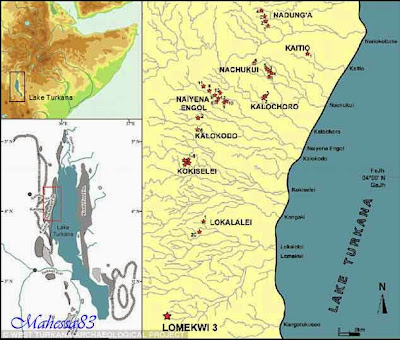 Misteri Penemuan Batu Tertua Di Dunia Berusia 3,3 Juta Tahun