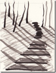black steps YSP