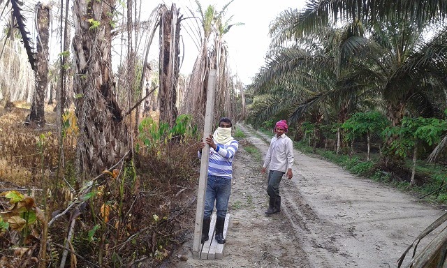 VisiTani Memasang Tiang  Pagar 