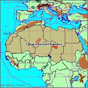 sahara desert map look