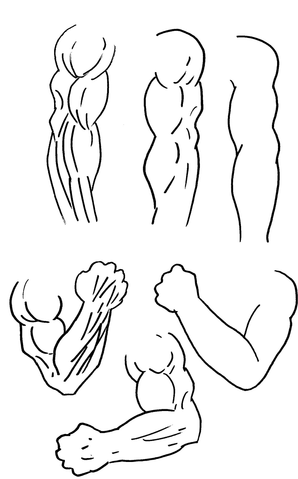 Musclearmtattoo