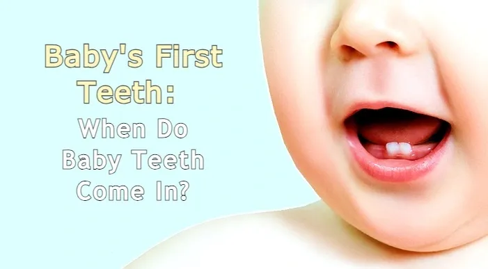 Baby's First Teeth