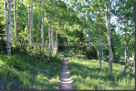 IMG_4537 IMG_4537