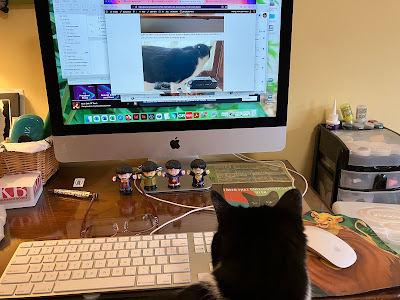 cat looking at a computer screen