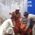 Only Pathan can do this