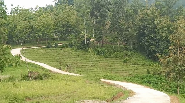 Inilah Desa Penimbun, Daerah Terpencil di Wilayah Utara Kebumen yang Maju dan Berkembang