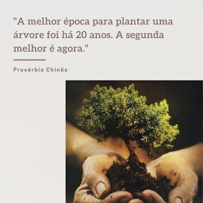"A melhor época para Plantar Uma Árvore foi há 20 anos. A segunda melhor é agora."  Provérbio Chinês