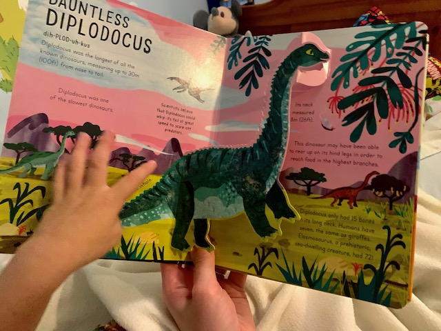 Little boy reading Age of the Dinosaurs book