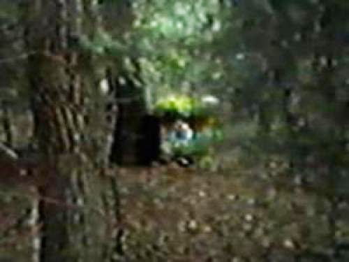 Creek Walker Adds To Bigfoot Cryptoterrestrial Argument
