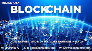Blockchain Software Development and MLM Software Solutions