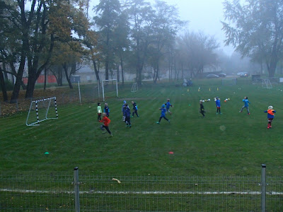 grzyby 2017, grzyby w parku, zabawa w parku, zbieranie kasztanów, trening piłkarski