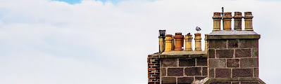 Chimney pots with bird sitting on cowl