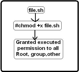 Execute permission bash script file