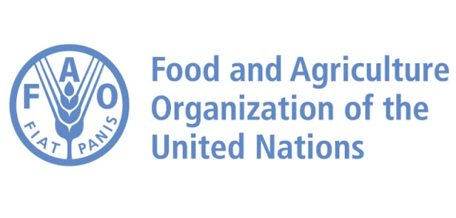 Programme Assistant At Food And Agricultural Organization Of The United Nation (FAO)