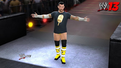 WWE 13