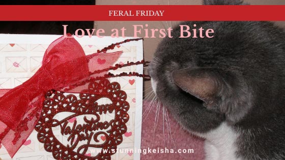 Feral Friday—Love at First Bite