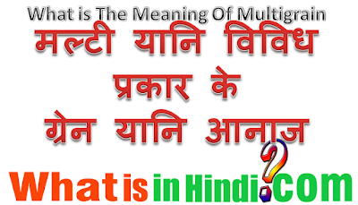 What is the meaning Multigrain in Hindi