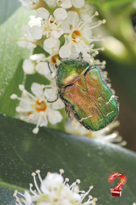 Inspiration zum gestalten in der Natur finden.