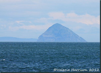 5-Ailsa