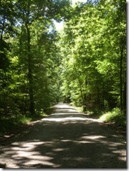 General Dacey Trail
