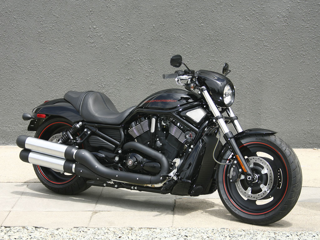 harley davidson v rod