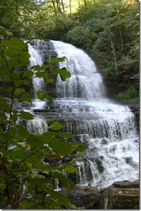 pearson falls 104