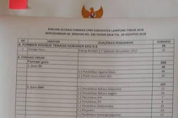 Formasi dan Persyaratan CPNS 2018 Kabupaten Lamtim (Lampung Timur)