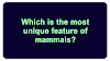 Which is the most unique feature of mammals?