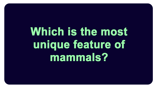 Which is the most unique feature of mammals?