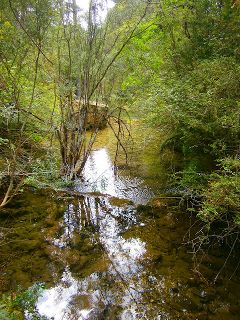 El nacimiento del río Cuervo. Autor: Miguel Alejandro Castillo Moya