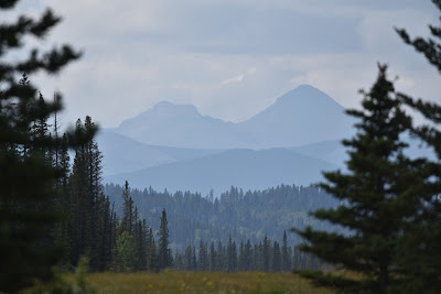 The Great Trail Bragg Creek Alberta.