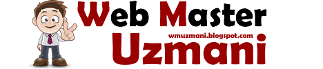 WM Uzmanı , Webmasterlerin Sitesi , Webmaster Uzmanı