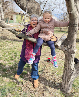 Up a tree with Grandma