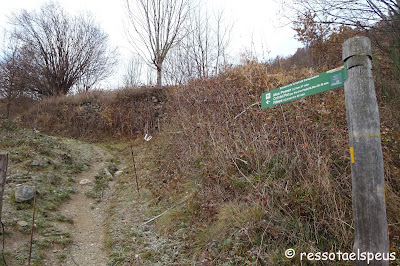 Ruta circular a serra Cavallera des de Camprodon