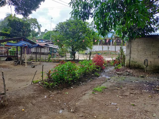 1,390sqm Along Barangay Road 🏡Lot for Sale in Babag Busay Cebu🏡