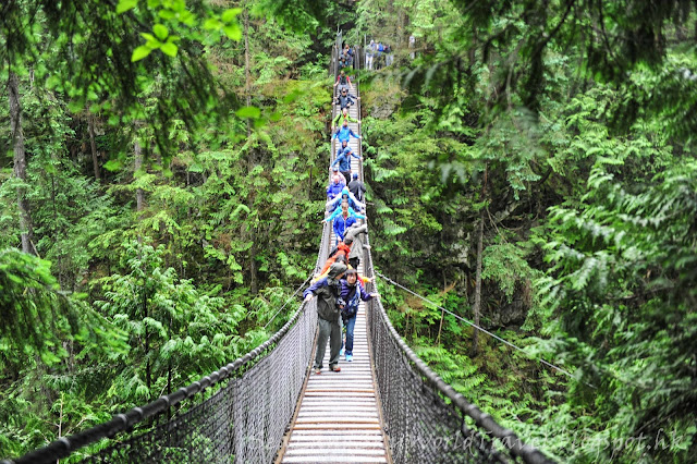 Lynn Canyon, 吊橋, suspension bridge