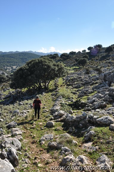 Calzada de Villaluenga a Grazalema