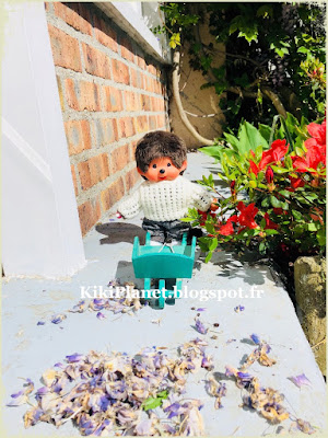 monchhichi, kiki, bebichhichi, jardin, brouette, vintage, toys life