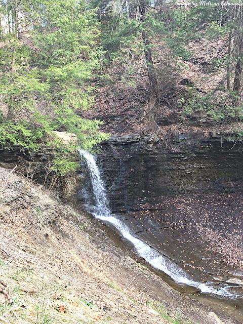 The 25 ft. waterfall at Fall Run Park is the closest waterfall to Pittsburgh.