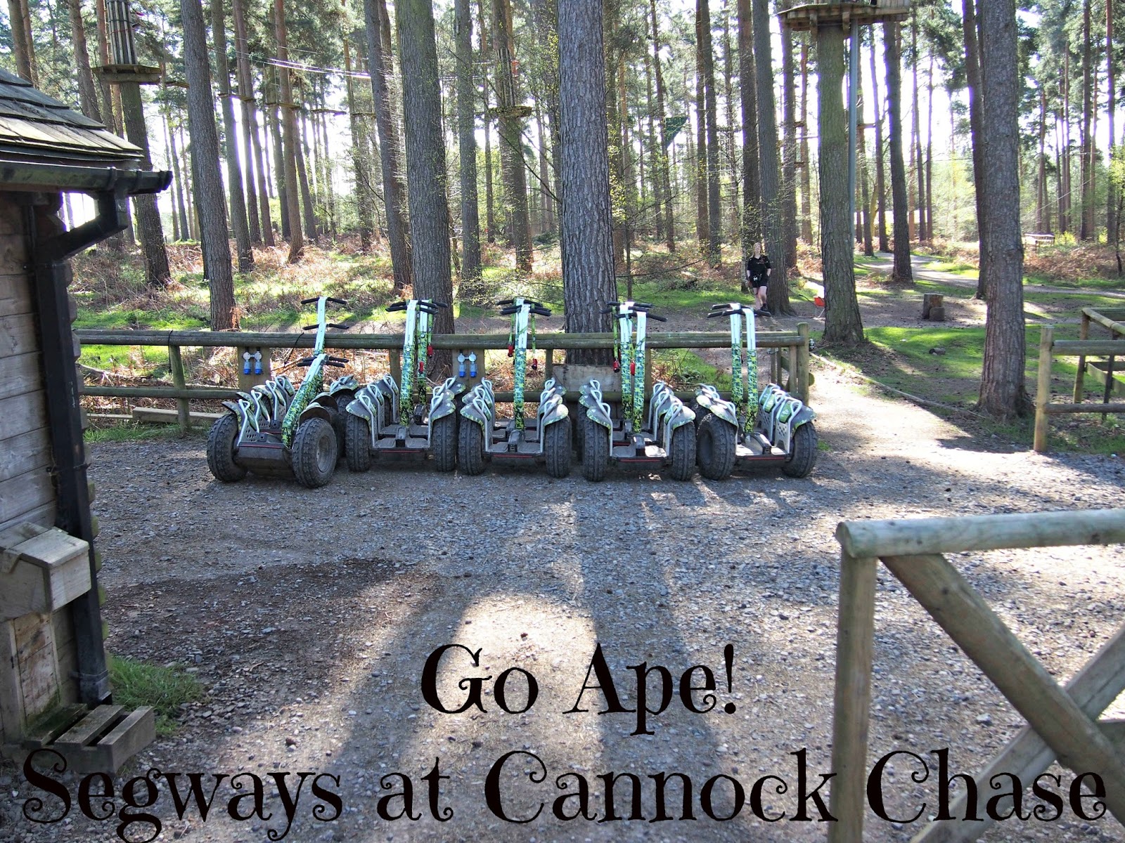 Go Ape Forest Segways At Cannock Chase Tales Of Annie Bean Travel Fitness And Adventure Blog