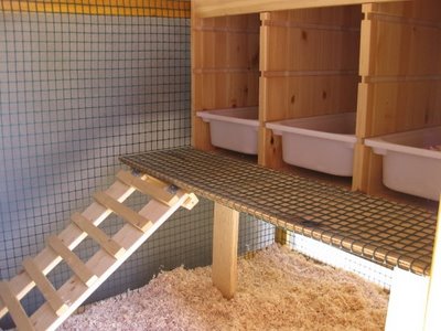 Box Chicken Co-op Ideas
