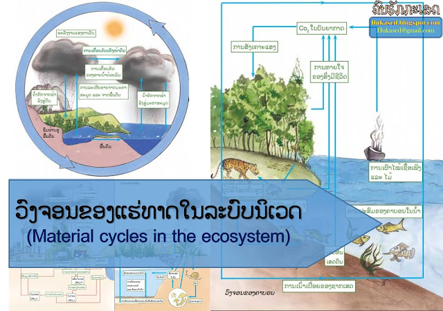 ວົງຈອນຂອງແຮ່ທາດໃນລະບົບນິເວດ (Material cycles in the ecosystem)