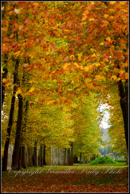 Allée d'Apollon Château de Versailles autumn