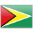 Guyana Flag Details