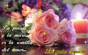 REGALO DE LA GATITA COQUETA